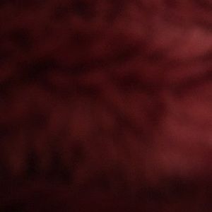 Meet your Posher, Marina